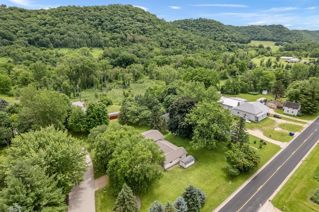 39123 Kc Dr, Homer Twp, MN 55987 - view of property location with a heavily wooded area