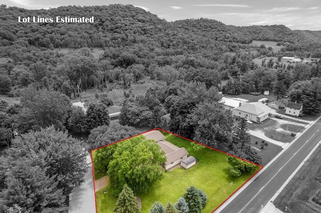 39123 Kc Dr, Homer Twp, MN 55987 - aerial view of property and surrounding area with a forest and property boundaries highlighted