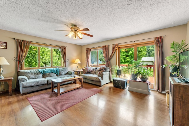 39123 Kc Dr, Homer Twp, MN 55987 - living room with ceiling fan, wood finished floors, and a textured ceiling