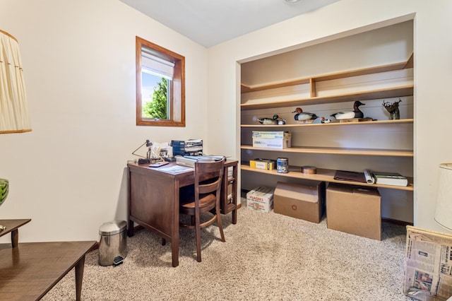39123 Kc Dr, Homer Twp, MN 55987 - view of office area