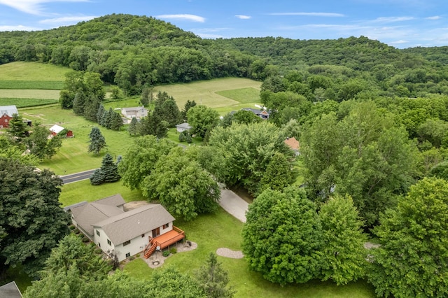 39123 Kc Dr, Homer Twp, MN 55987 - aerial view of a forest