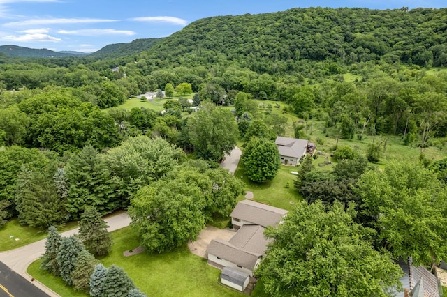 39123 Kc Dr, Homer Twp, MN 55987 - bird's eye view of a heavily wooded area and a mountainous background