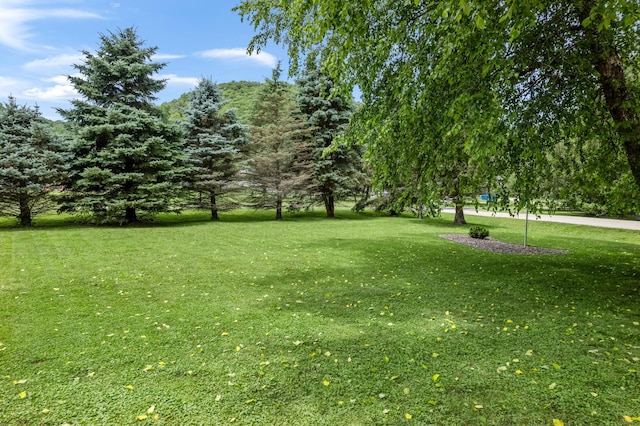 39123 Kc Dr, Homer Twp, MN 55987 - view of green lawn