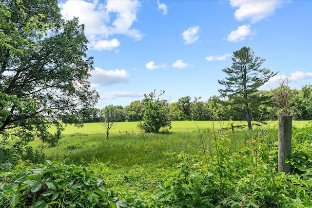 1938 190th St, Stanton Twp, WI 54017 - view of local wilderness with rural landscape