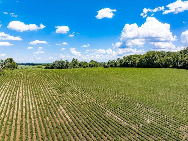 1938 190th St, Stanton Twp, WI 54017 - view of green lawn featuring a rural view