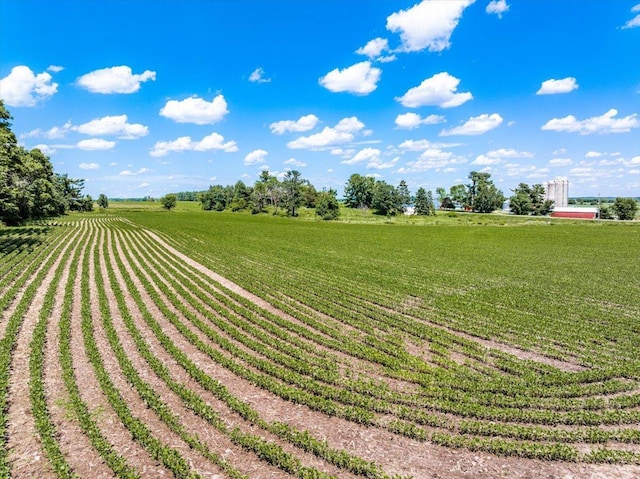1938 190th St, Stanton Twp, WI 54017 - view of green lawn featuring a rural view