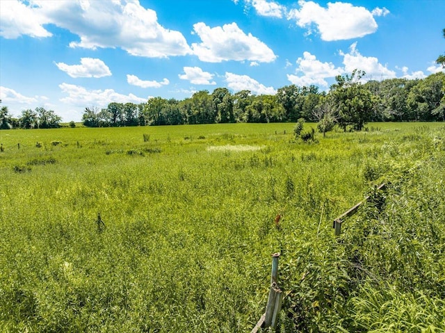 1938 190th St, Stanton Twp, WI 54017 - view of undeveloped land featuring rural landscape