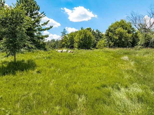 1938 190th St, Stanton Twp, WI 54017 - view of nature