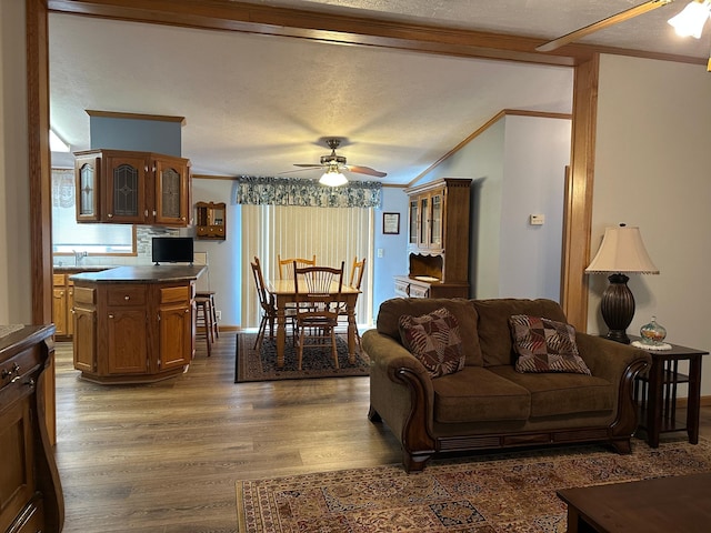 217 4th Ave SE, Pipestone, MN 56164 - living area with crown molding, a ceiling fan, dark wood-style floors, a textured ceiling, and vaulted ceiling