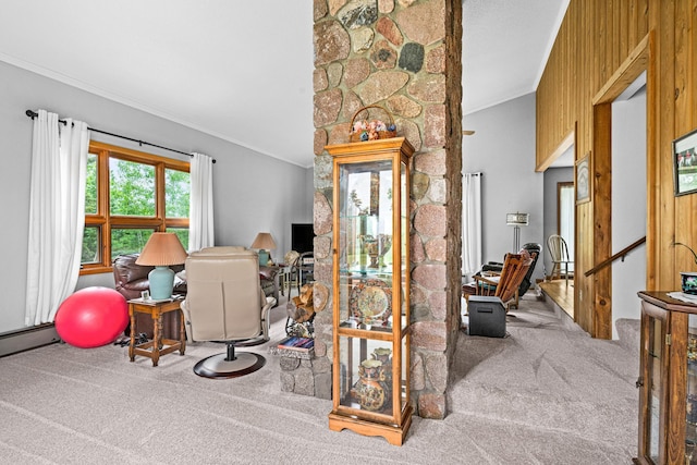 9614 Hayes Rd, Mountain Iron, MN 55768 - carpeted office featuring ornamental molding and vaulted ceiling