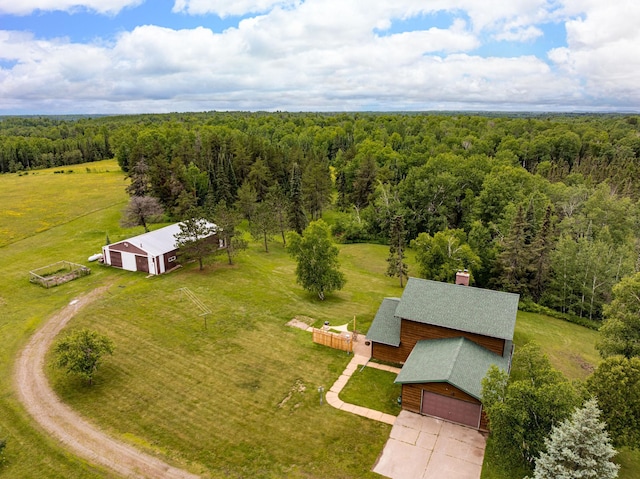 9614 Hayes Rd, Mountain Iron, MN 55768 - view from above of property featuring a forest