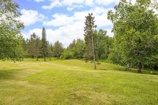 9614 Hayes Rd, Mountain Iron, MN 55768 - view of grassy yard