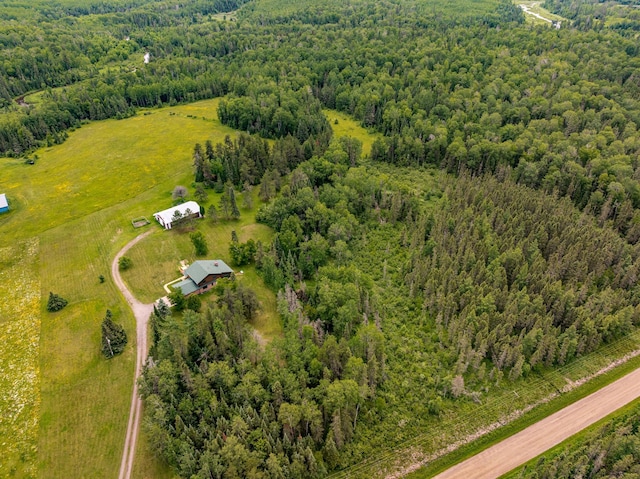 9614 Hayes Rd, Mountain Iron, MN 55768 - view of rural area with a heavily wooded area