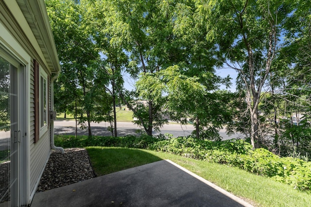 220 Emerson Ave E, West Saint Paul, MN 55118 - photo 24