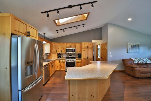 30467 Lakeview Dr, Breezy Point, MN 56472 - kitchen featuring appliances with stainless steel finishes, rail lighting, a skylight, light countertops, and open floor plan