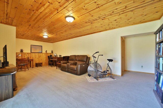 30467 Lakeview Dr, Breezy Point, MN 56472 - living area with carpet and wooden ceiling