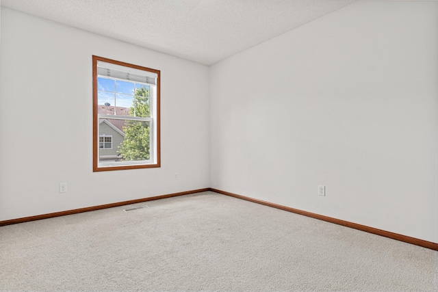 13313 Virginia Ave S, Savage, MN 55378 - photo 22