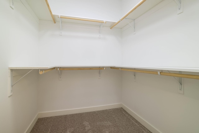 2529 Elmcroft Dr SW, Rochester, MN 55902 - spacious closet with carpet floors