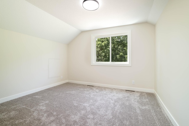 2529 Elmcroft Dr SW, Rochester, MN 55902 - additional living space featuring lofted ceiling and carpet floors