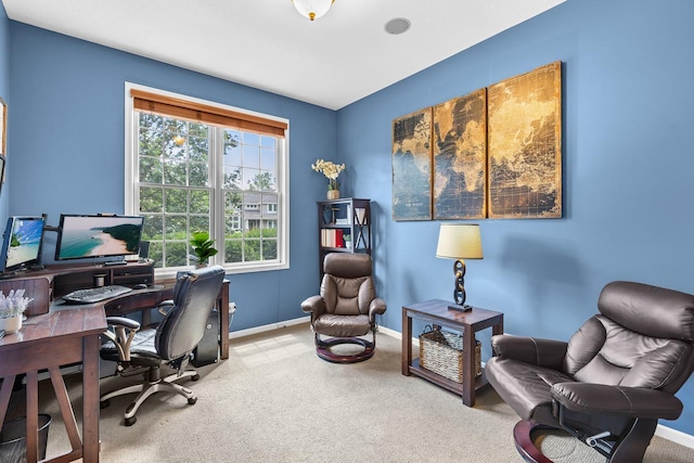 12346 Harvard Ave, Eden Prairie, MN 55347 - office with carpet floors