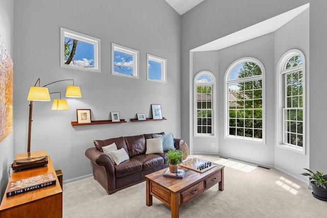 12346 Harvard Ave, Eden Prairie, MN 55347 - living room with carpet flooring and a high ceiling