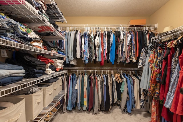 12346 Harvard Ave, Eden Prairie, MN 55347 - spacious closet featuring carpet floors