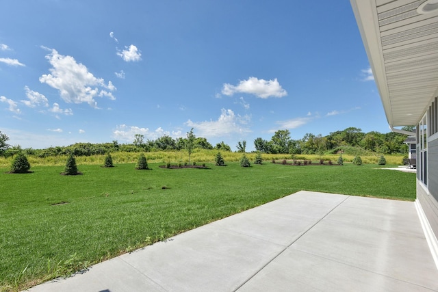 7529 Ocean Ct, Otsego, MN 55330 - photo 44