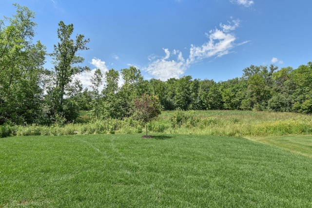 7617 Ocean Ave NE, Otsego, MN 55330 - view of grassy yard