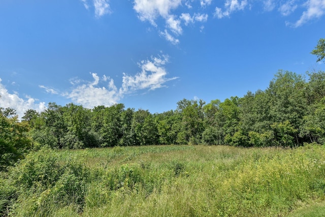 7617 Ocean Ave NE, Otsego, MN 55330 - view of wooded area