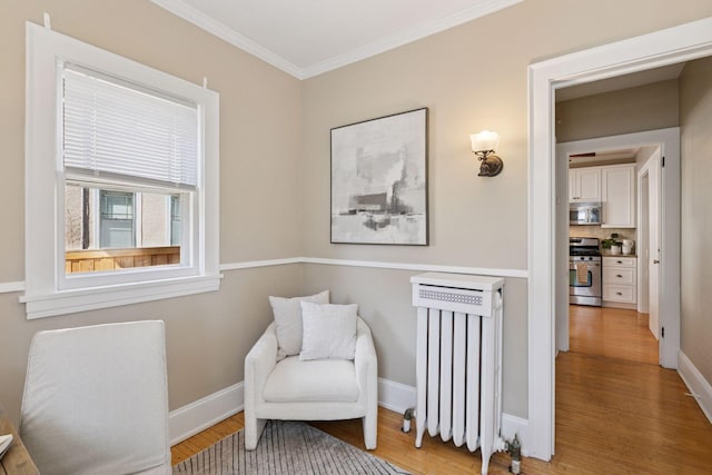 1770 Humboldt Ave S Unit 1, Minneapolis, MN 55403 - living area with wood finished floors, ornamental molding, and radiator