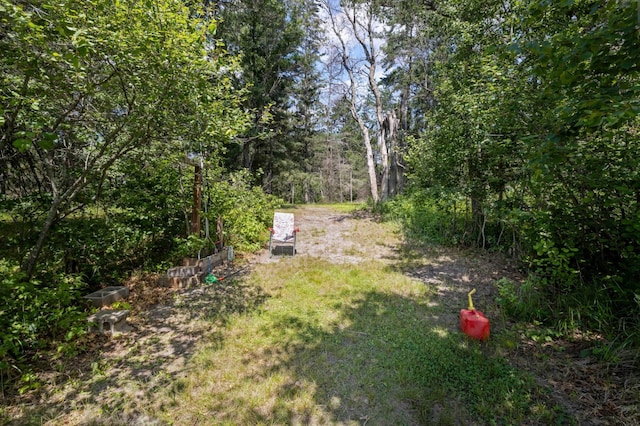 4745 Patterson Trl, Brainerd, MN 56401 - view of yard