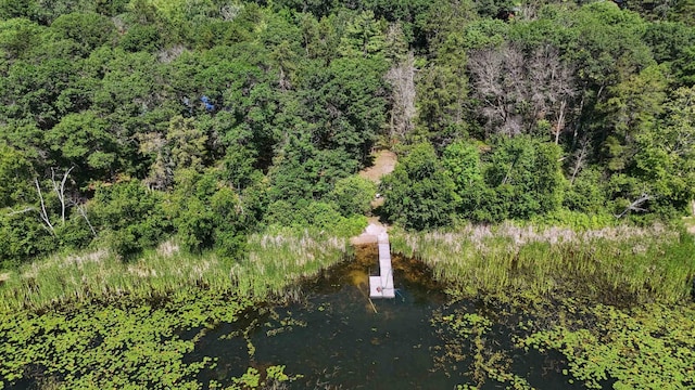 4745 Patterson Trl, Brainerd, MN 56401 - drone / aerial view of a nearby body of water