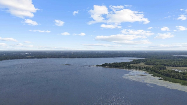 4745 Patterson Trl, Brainerd, MN 56401 - water view featuring a heavily wooded area