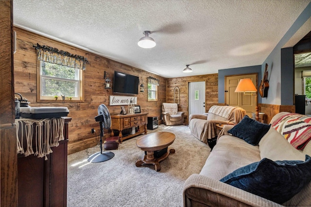 4745 Patterson Trl, Brainerd, MN 56401 - living room with wooden walls, healthy amount of natural light, a textured ceiling, and carpet