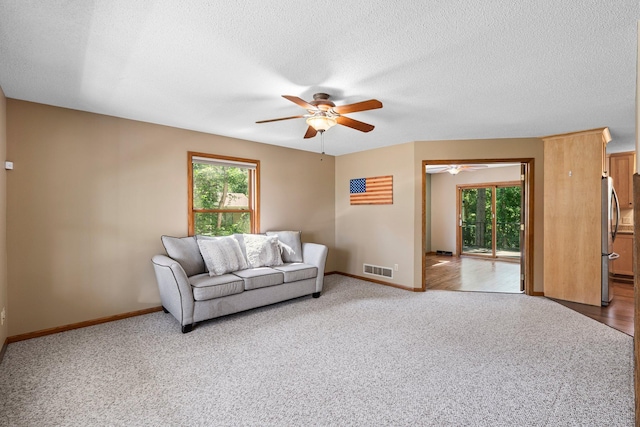 621 Twelve Oaks Ln, Hudson, WI 54016 - carpeted living area featuring a ceiling fan, healthy amount of natural light, and a textured ceiling