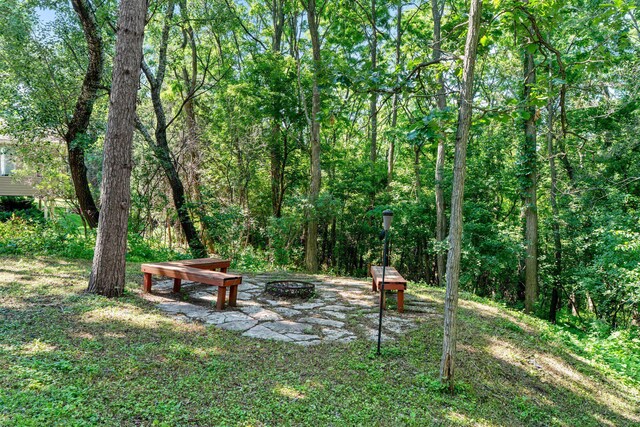 621 Twelve Oaks Ln, Hudson, WI 54016 - view of home's community featuring an outdoor fire pit