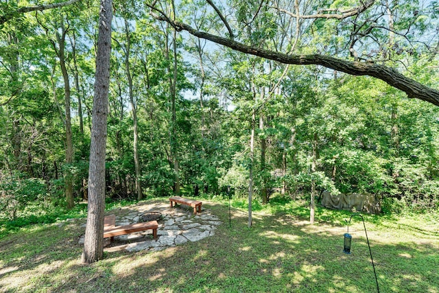 621 Twelve Oaks Ln, Hudson, WI 54016 - view of yard featuring a forest view