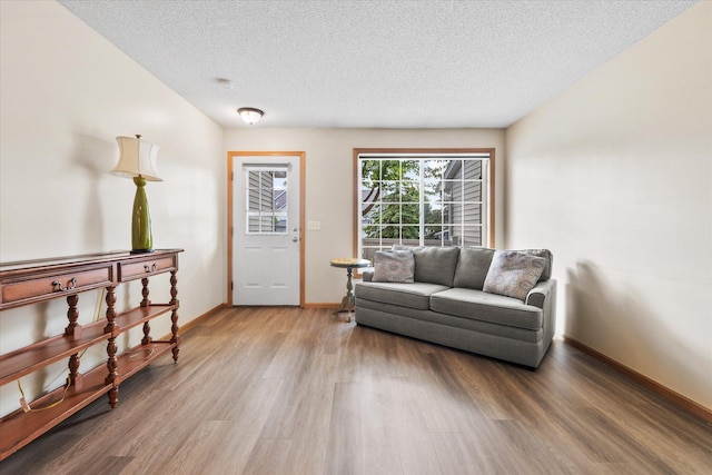 8731 Quarry Ridge Ln Unit B, Woodbury, MN 55125 - living area with wood finished floors and a textured ceiling