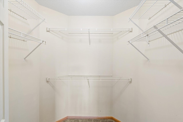 8731 Quarry Ridge Ln Unit B, Woodbury, MN 55125 - view of walk in closet