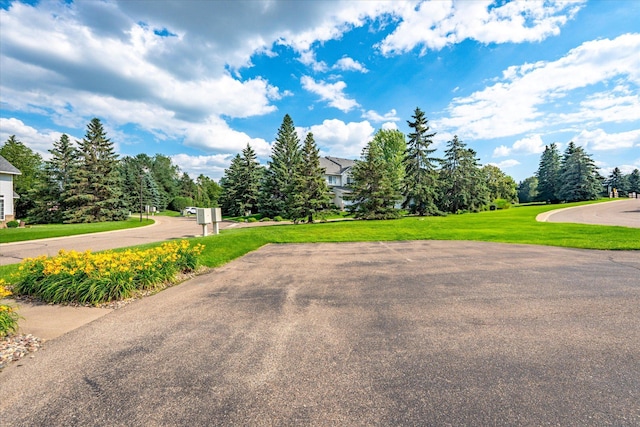 8731 Quarry Ridge Ln Unit B, Woodbury, MN 55125 - view of asphalt road