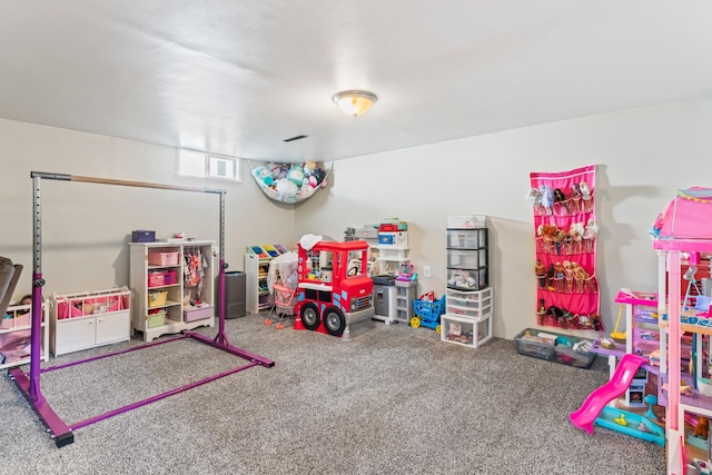 1917 2nd Ave NW, Austin, MN 55912 - playroom with carpet flooring