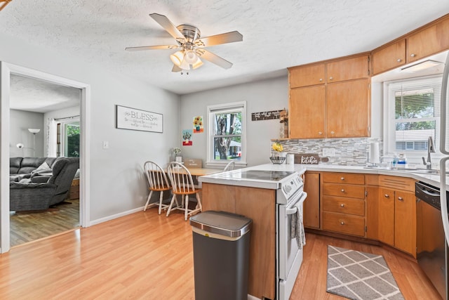 1917 2nd Ave NW, Austin, MN 55912 - kitchen with white electric range oven, light wood-style flooring, stainless steel dishwasher, a textured ceiling, and light countertops
