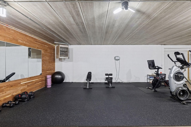 11985 Lever Ct NE, Blaine, MN 55449 - workout area featuring concrete block wall and a heating unit