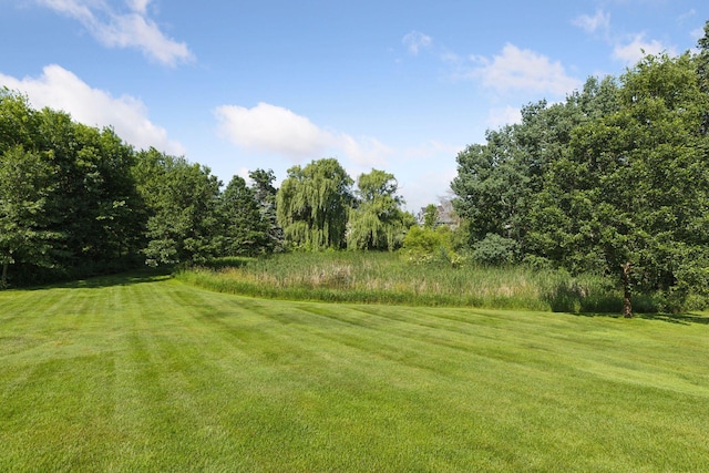 11985 Lever Ct NE, Blaine, MN 55449 - view of grassy yard