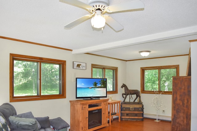 22358 Sunrise Dr, Deerwood Twp, MN 56444 - photo 5