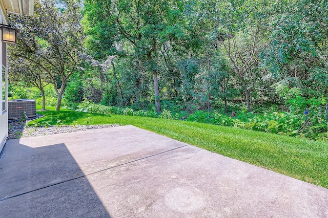 7514 Hinton Park Ave S, Cottage Grove, MN 55016 - photo 4