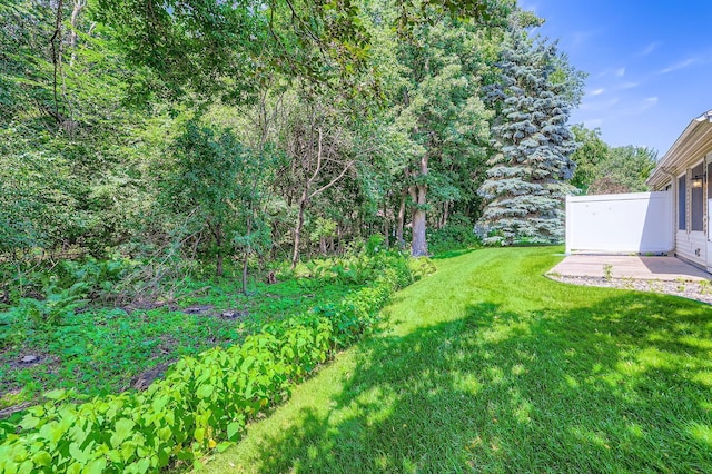 7514 Hinton Park Ave S, Cottage Grove, MN 55016 - photo 5