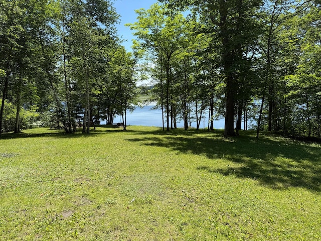 7160 Turtle Lake Dr NW, Walker, MN 56484 - photo 3