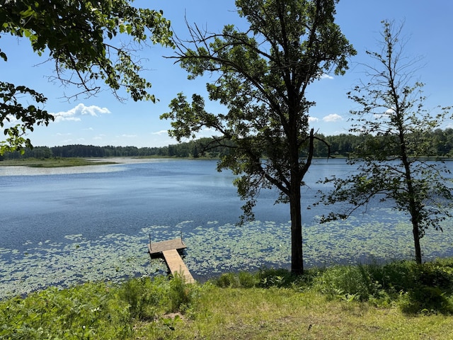 7160 Turtle Lake Dr NW, Walker, MN 56484 - photo 4