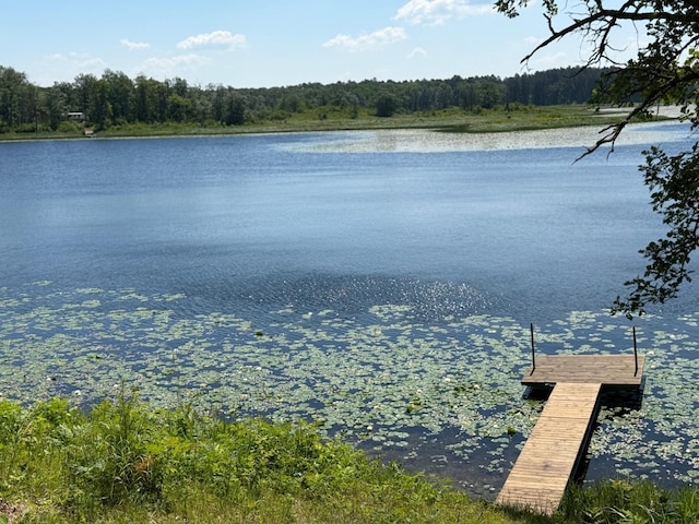 7160 Turtle Lake Dr NW, Walker, MN 56484 - photo 5